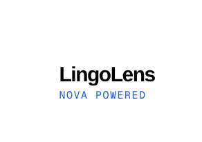 Lingolens – screenshot 2