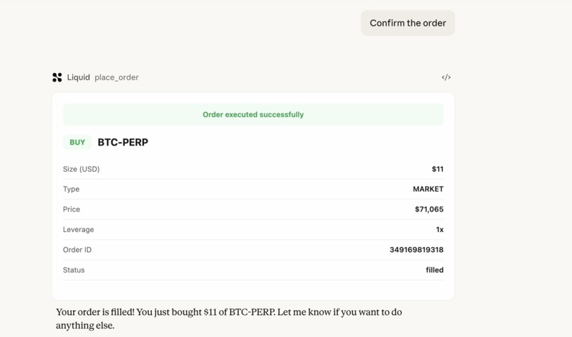 Liquid MCP APP – screenshot 2