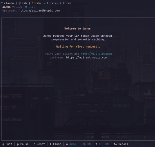 Janus – screenshot 1