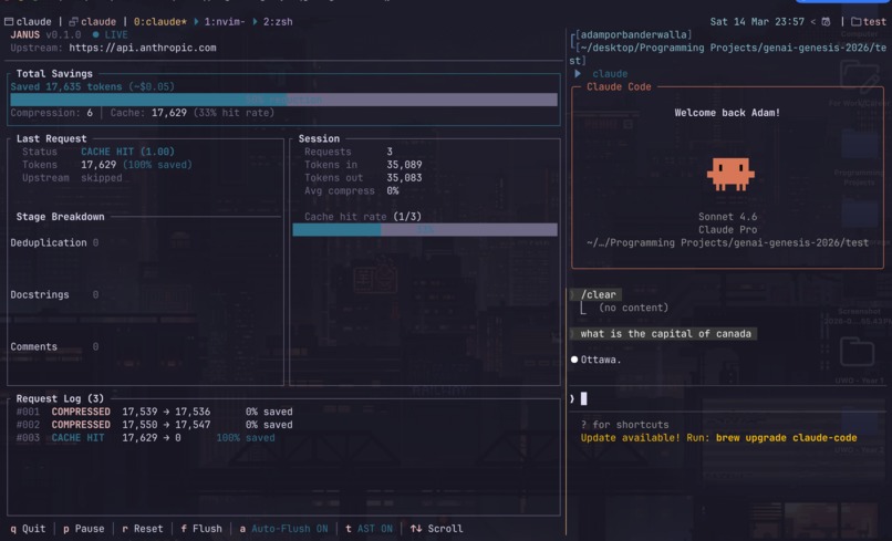Janus – screenshot 2