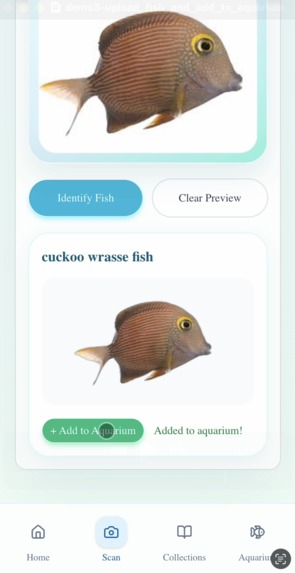 Fishpedia – screenshot 3