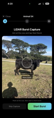 Cowdar – screenshot 2