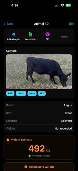 Cowdar – screenshot 3