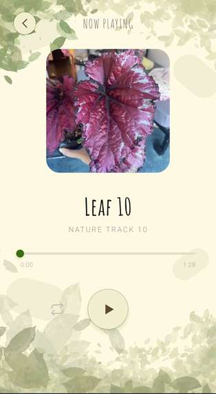 GreenMusic – screenshot 3