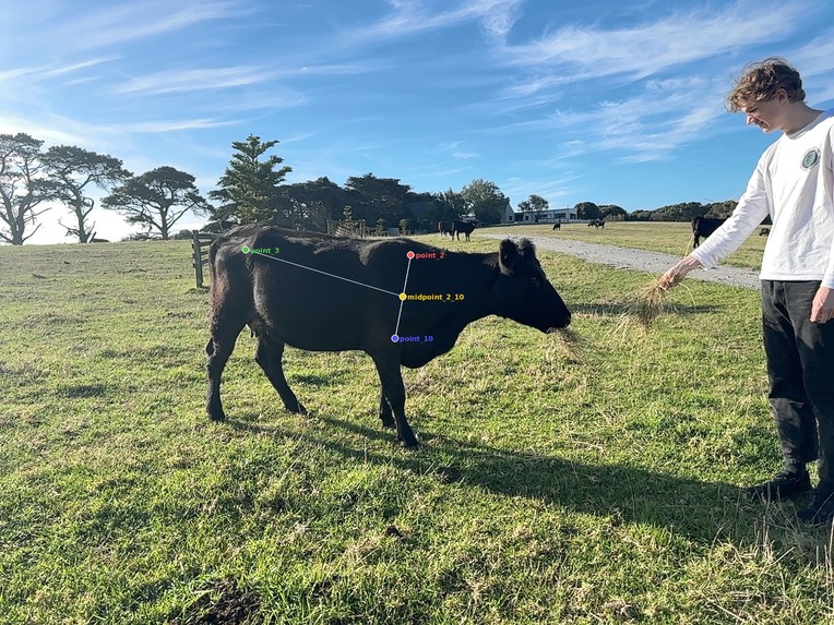 Cowdar – screenshot 5