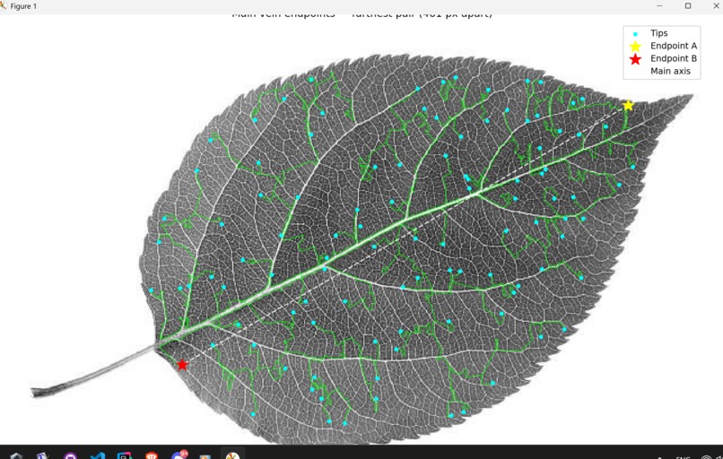 GreenMusic – screenshot 5
