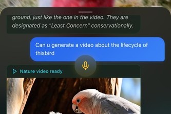 EcoScout - AI Ecologist