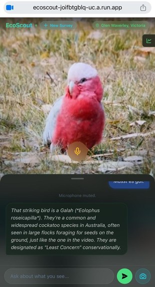 EcoScout - AI Ecologist – screenshot 3