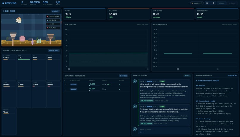 ReefMind – screenshot 3