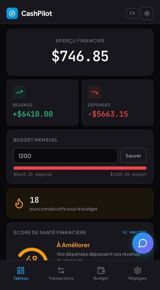 CashPilot – screenshot 9