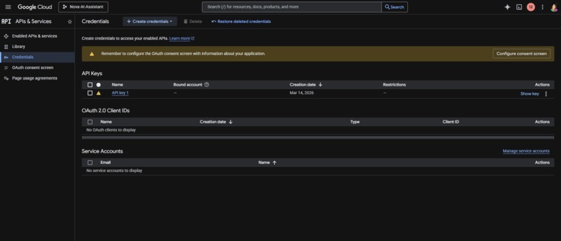 Gemini live challenge-Nova-AI – screenshot 3