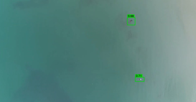 Kingfisher – screenshot 1