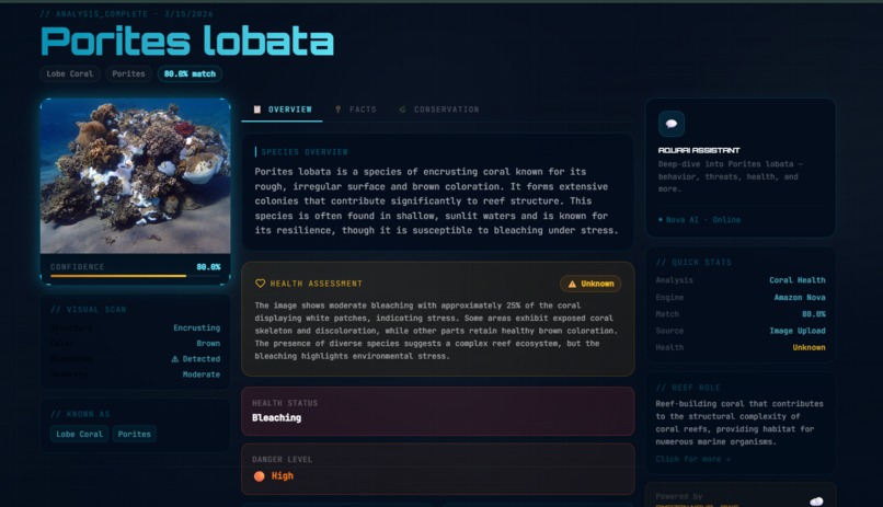 AquaAI — Marine Ecosystem Intelligence – screenshot 3