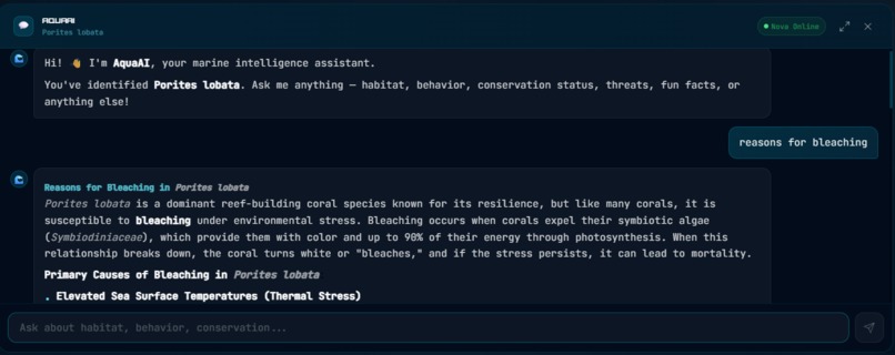 AquaAI — Marine Ecosystem Intelligence – screenshot 4