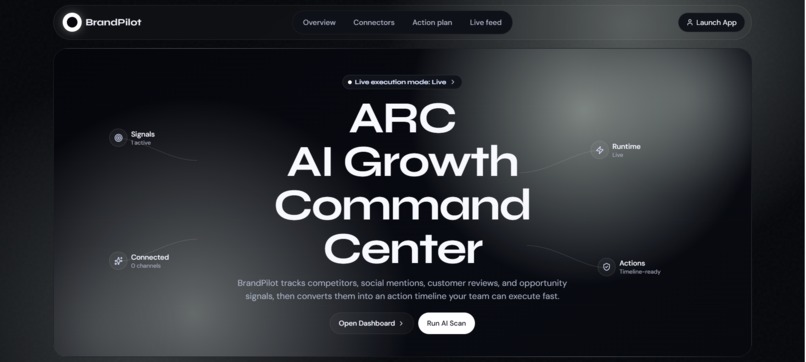 BrandPilot — AI Marketing Co-Pilot – screenshot 1