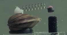 OceanPulse – screenshot 3