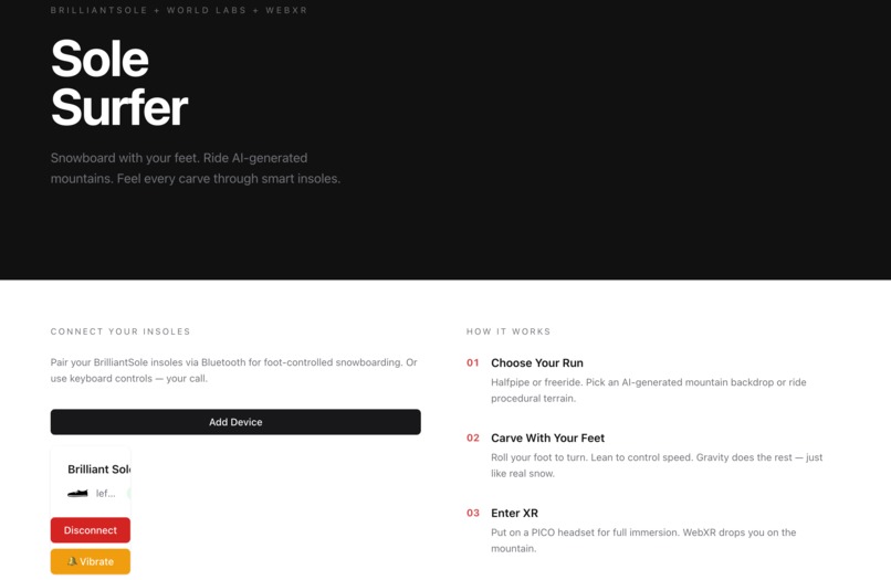 Solesurfer – screenshot 1