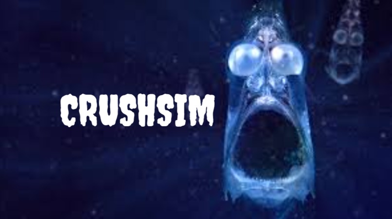 CRUSHSIM – screenshot 1