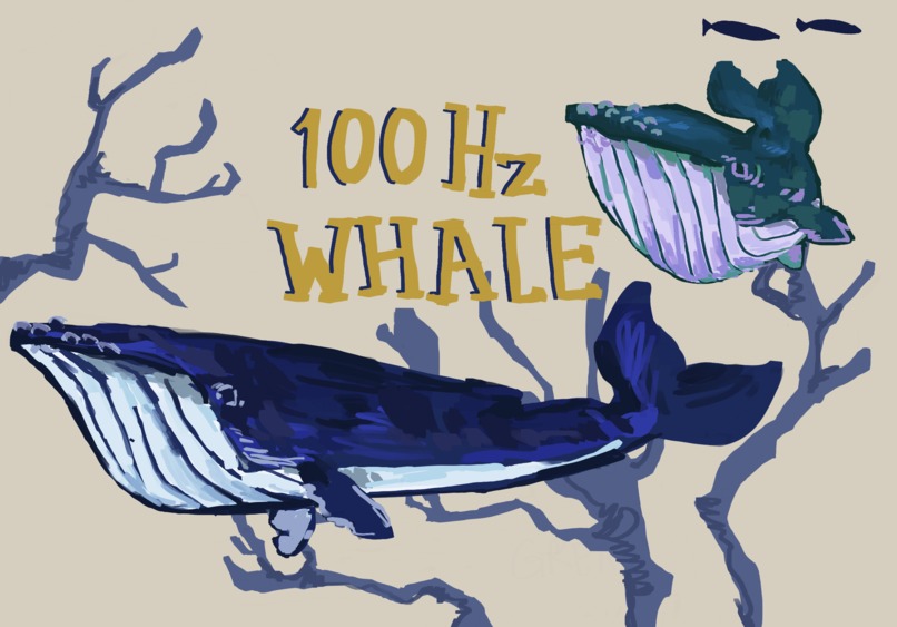 100Hz Whale – screenshot 1