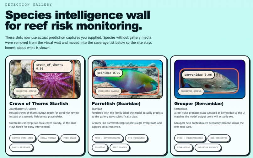 L.I.O.N. - Live Invasive-species Observation Network – screenshot 1