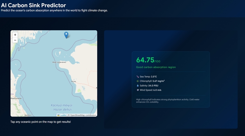 AI Carbon Sink Predictor – screenshot 2