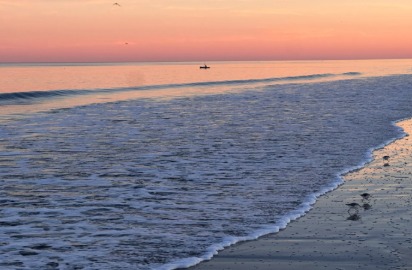 Explorative Ocean Game – screenshot 4