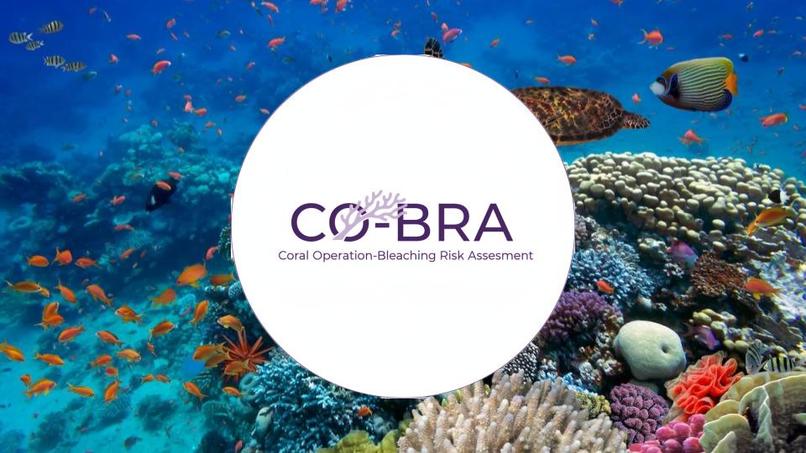 CO-BRA: Coral Operation - Bleaching Risk Assessment – screenshot 1