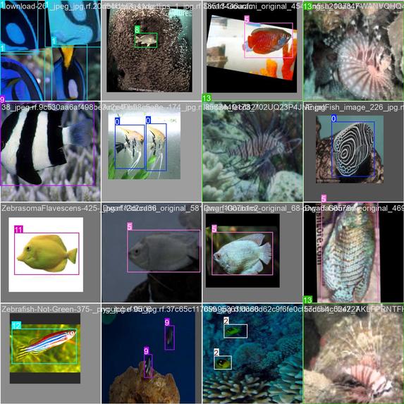 Guided Ocean Observation and Navigation Exploration Rover – screenshot 6