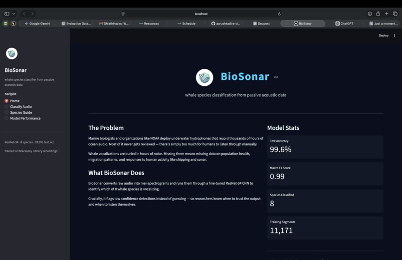 BioSonar – screenshot 1