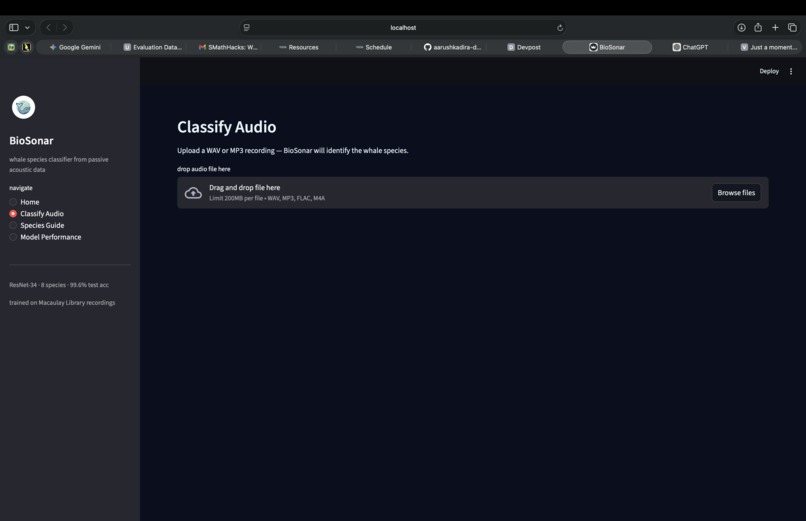 BioSonar – screenshot 4