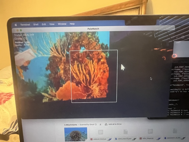 Pale Watch – screenshot 8