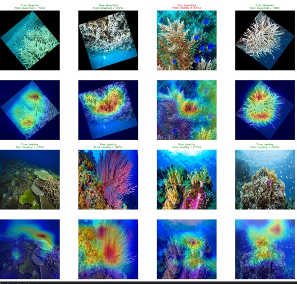 Pale Watch – screenshot 9