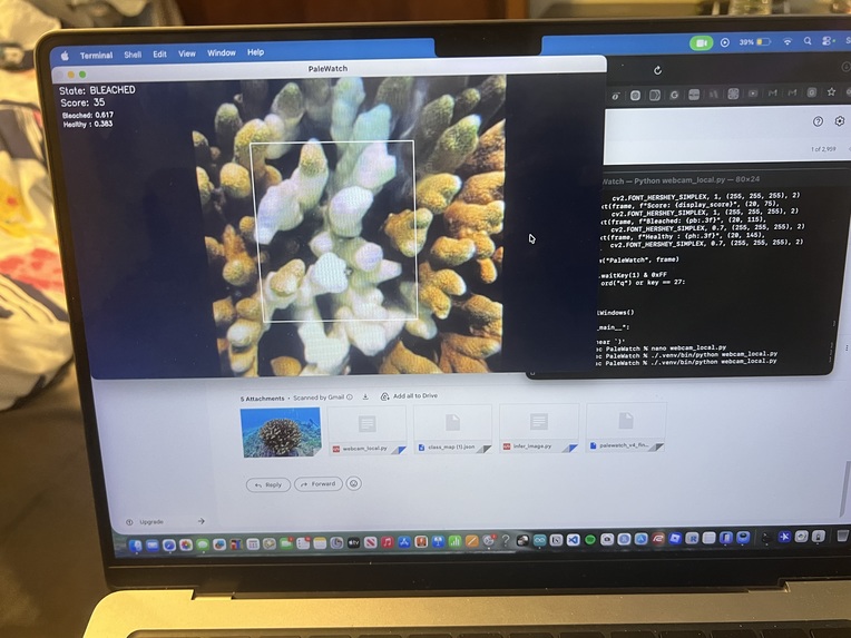 Pale Watch – screenshot 10