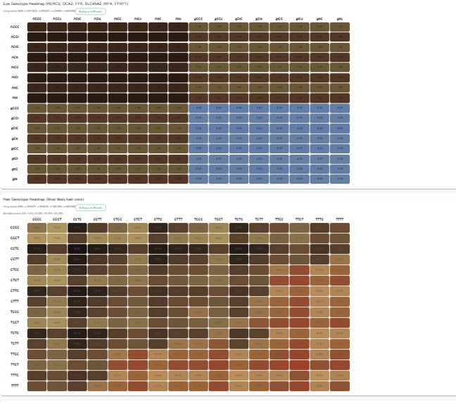 DNA_Insight – screenshot 1