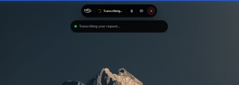 Sally – screenshot 2