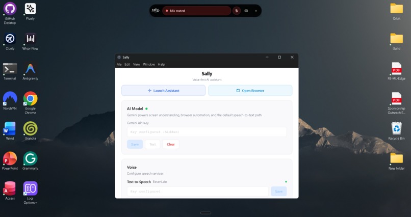 Sally – screenshot 1