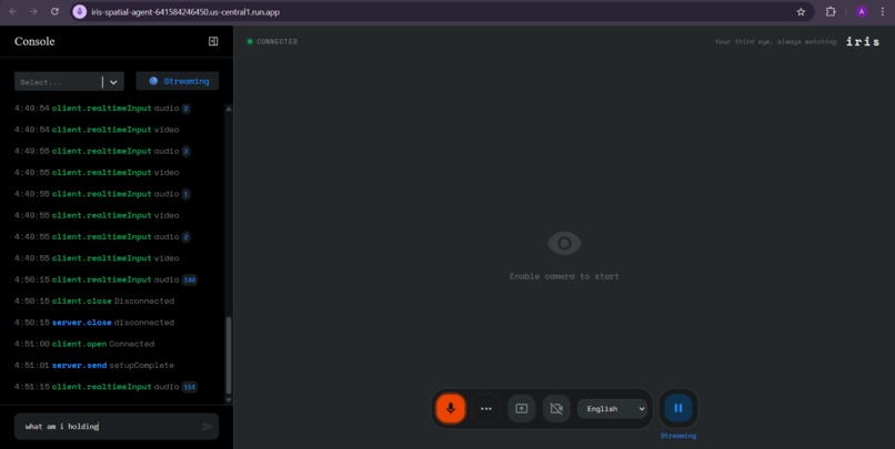 IRIS - INTEGRATED REAL-TIME INTERPRETIVE SYSTEM – screenshot 1