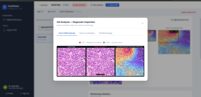 GradVision , Diagnostic Intelligence – screenshot 5