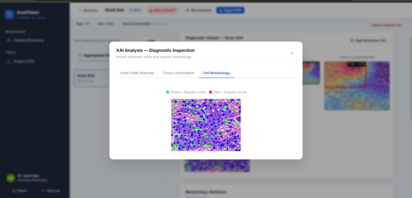 GradVision , Diagnostic Intelligence – screenshot 7