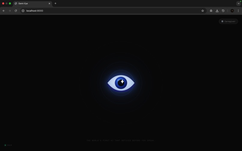 Gemi-Eye – Proactive Guardian for the Visually Impaired – screenshot 1