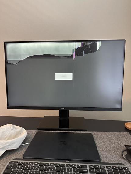 ReturnShield AI – screenshot 2