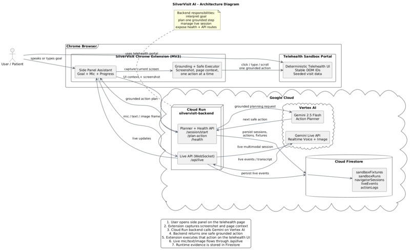 Silver Visit AI – screenshot 2