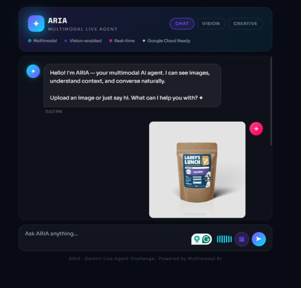 ARIA (Advanced Real-time Intelligence Agent)  – screenshot 1