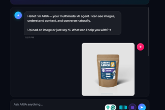 ARIA (Advanced Real-time Intelligence Agent) 