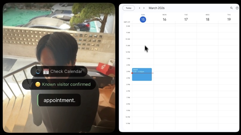 DoorGemini – screenshot 2