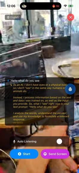 LensLingo — Real-Time Multimodal Conversation Assistant – screenshot 5