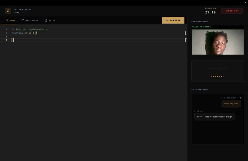 Owlyn – screenshot 5