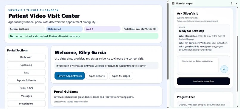 Silver Visit AI – screenshot 1