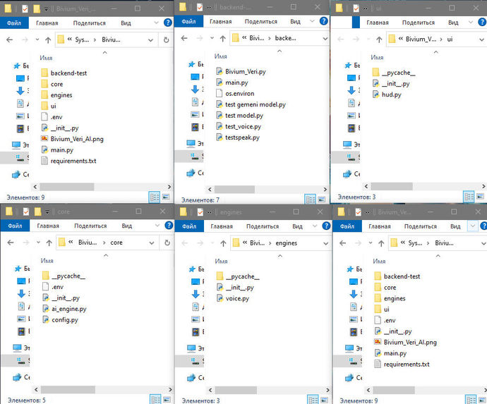 Bivium Veri AI – screenshot 5
