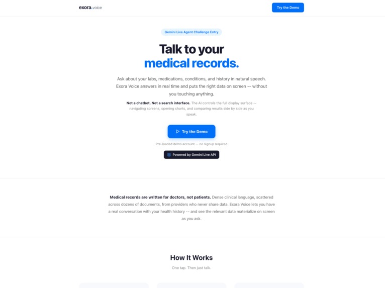 Exora Voice – screenshot 2